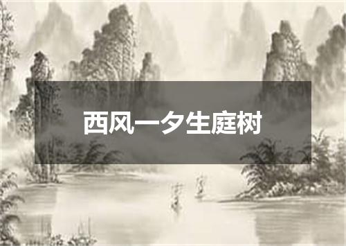 西风一夕生庭树