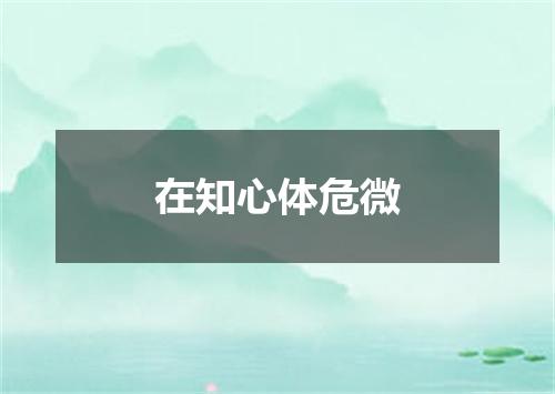 在知心体危微
