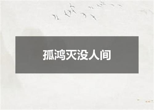 孤鸿灭没人间