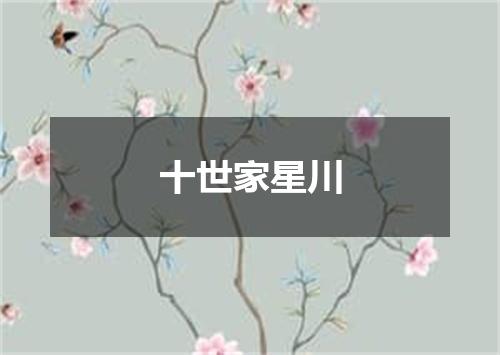 十世家星川