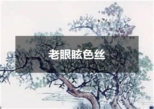 老眼眩色丝