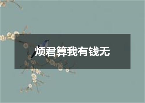 烦君算我有钱无