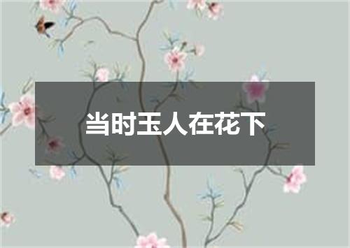 当时玉人在花下