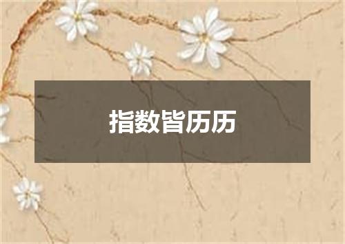 指数皆历历