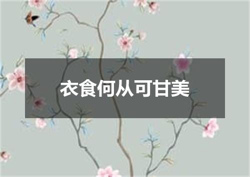 衣食何从可甘美