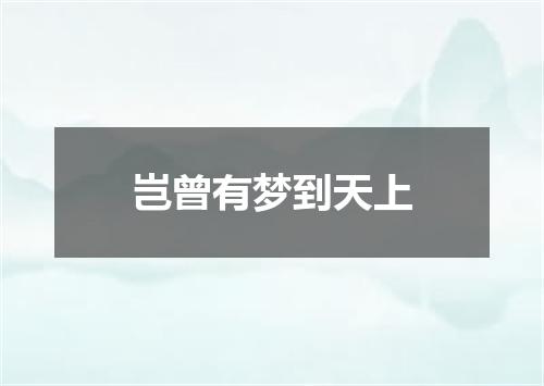 岂曾有梦到天上