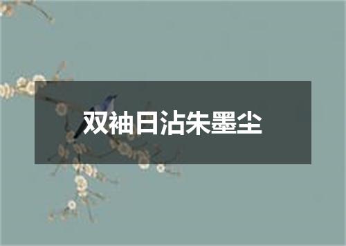 双袖日沾朱墨尘