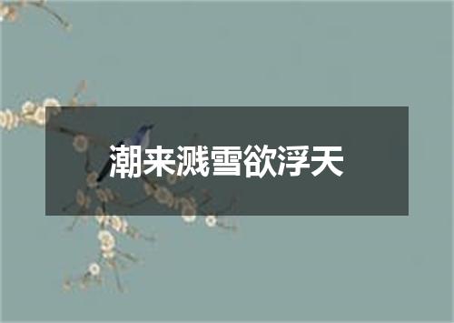 潮来溅雪欲浮天