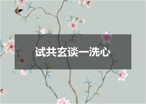 试共玄谈一洗心