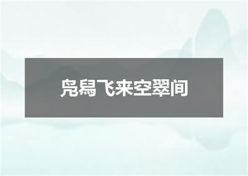 凫舄飞来空翠间