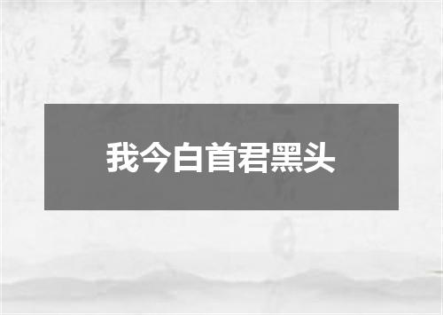 我今白首君黑头