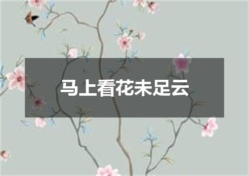 马上看花未足云