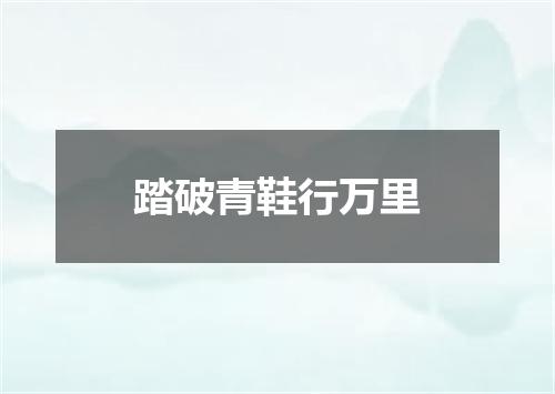 踏破青鞋行万里