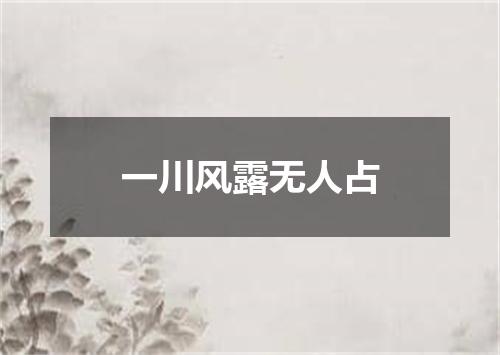 一川风露无人占
