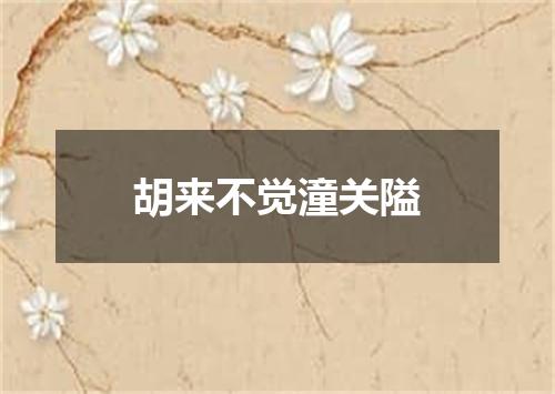胡来不觉潼关隘