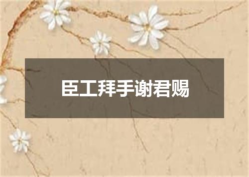 臣工拜手谢君赐