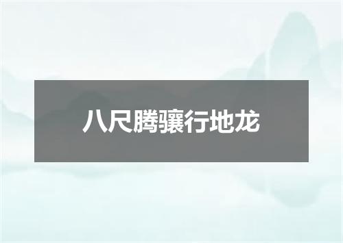 八尺腾骧行地龙