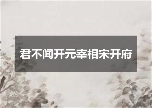君不闻开元宰相宋开府