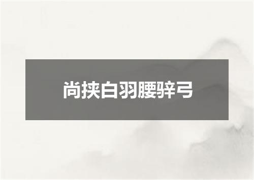 尚挟白羽腰骍弓