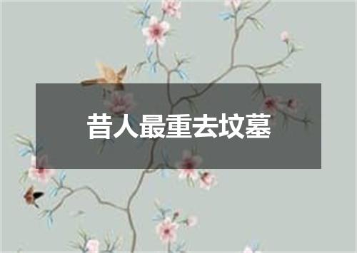 昔人最重去坟墓