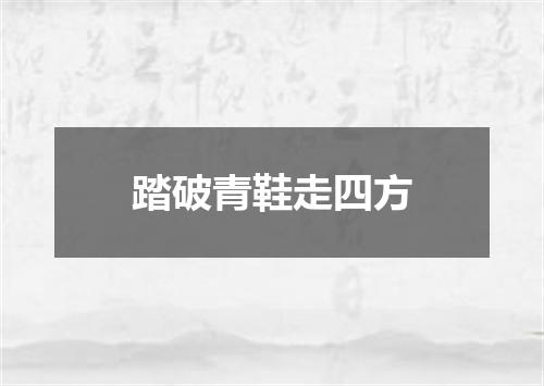 踏破青鞋走四方