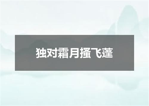 独对霜月搔飞蓬