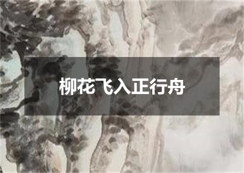 柳花飞入正行舟