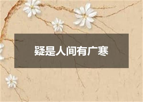 疑是人间有广寒