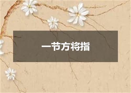 一节方将指