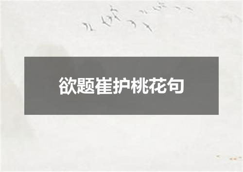 欲题崔护桃花句