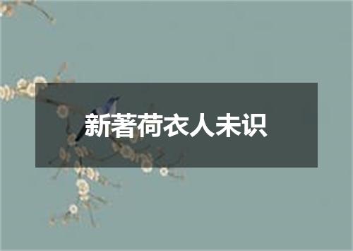 新著荷衣人未识