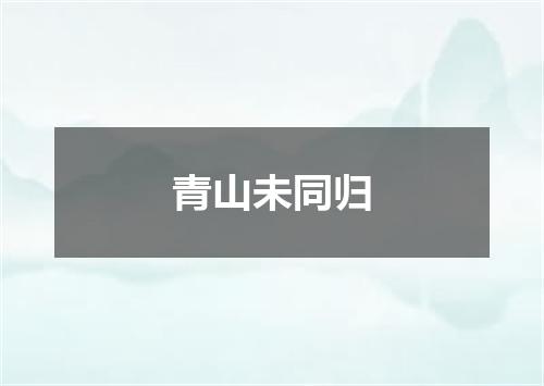 青山未同归