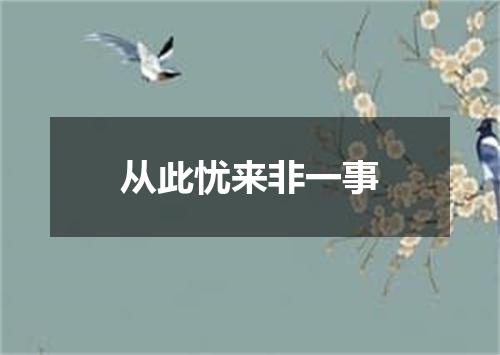 从此忧来非一事