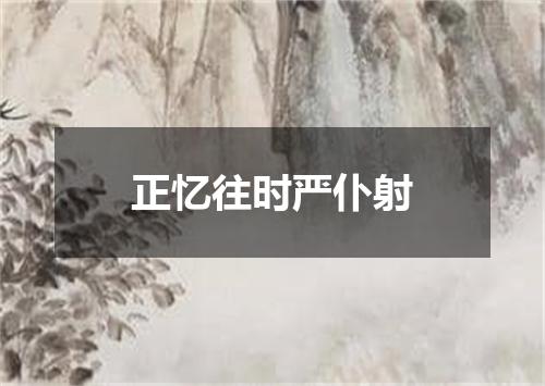 正忆往时严仆射