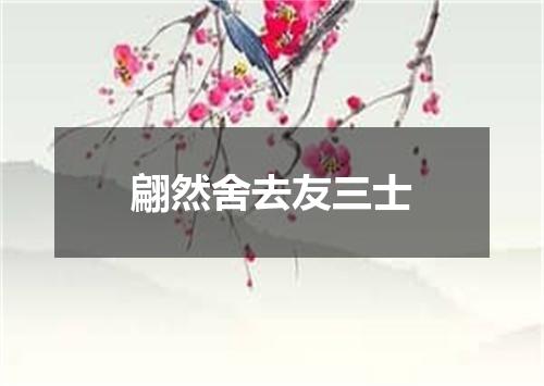 翩然舍去友三士