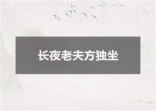 长夜老夫方独坐