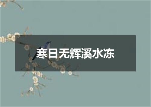 寒日无辉溪水冻