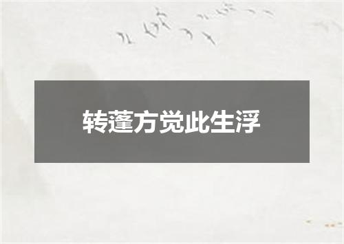 转蓬方觉此生浮