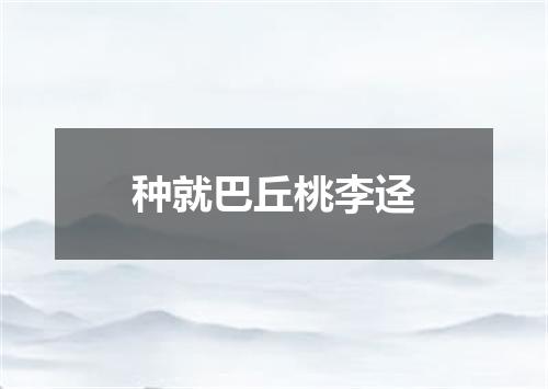 种就巴丘桃李迳