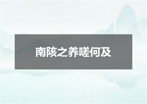 南陔之养嗟何及