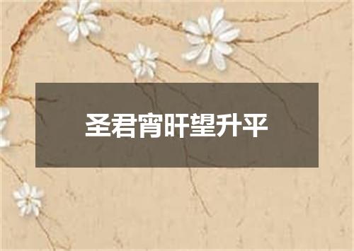 圣君宵旰望升平