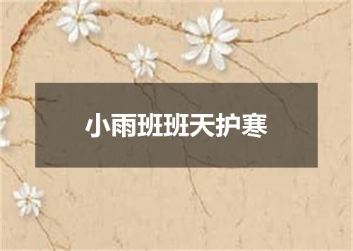 小雨班班天护寒