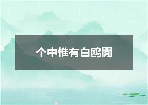 个中惟有白鸥閒