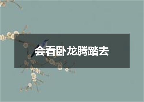 会看卧龙腾踏去