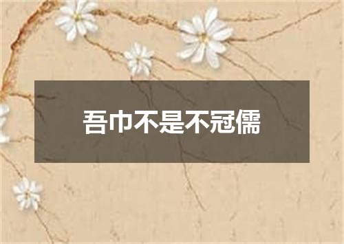 吾巾不是不冠儒