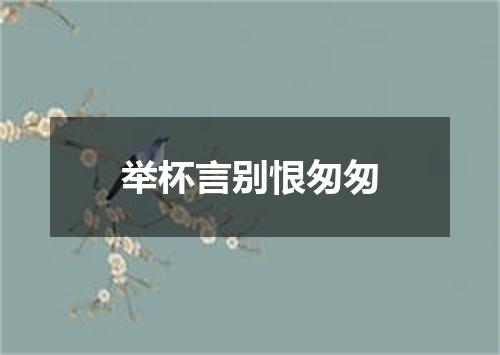 举杯言别恨匆匆