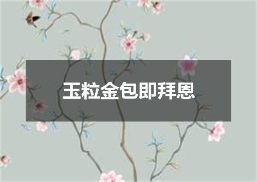 玉粒金包即拜恩