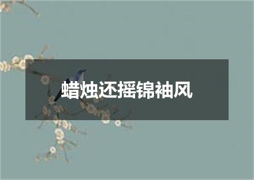 蜡烛还摇锦袖风