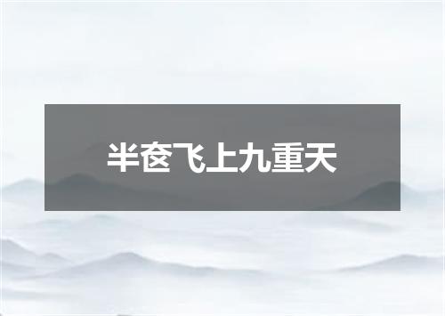 半奁飞上九重天