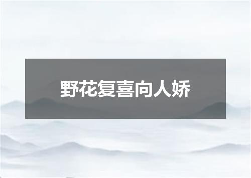 野花复喜向人娇